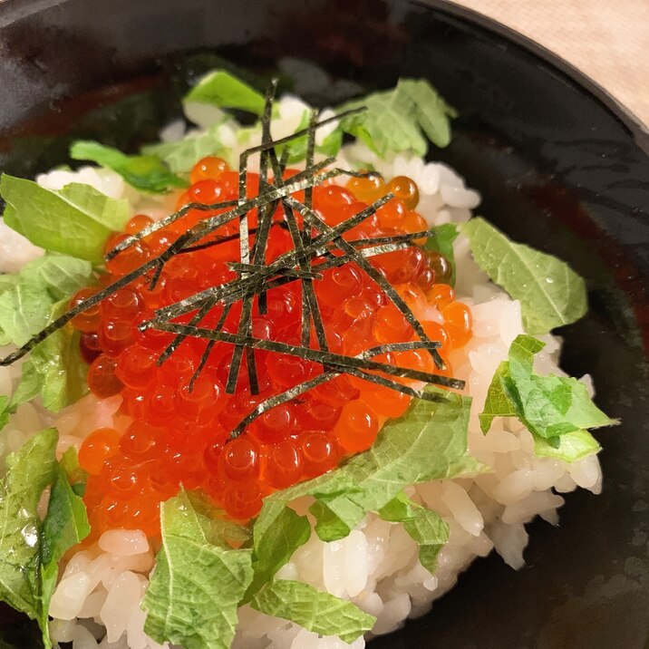 ★超簡単★ただ乗せるだけのいくら丼